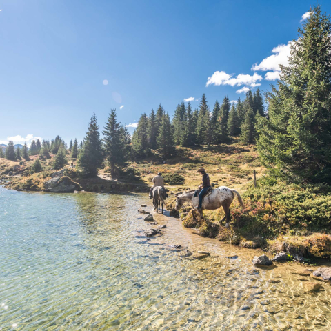 Reiten auf der Alp Flix ""